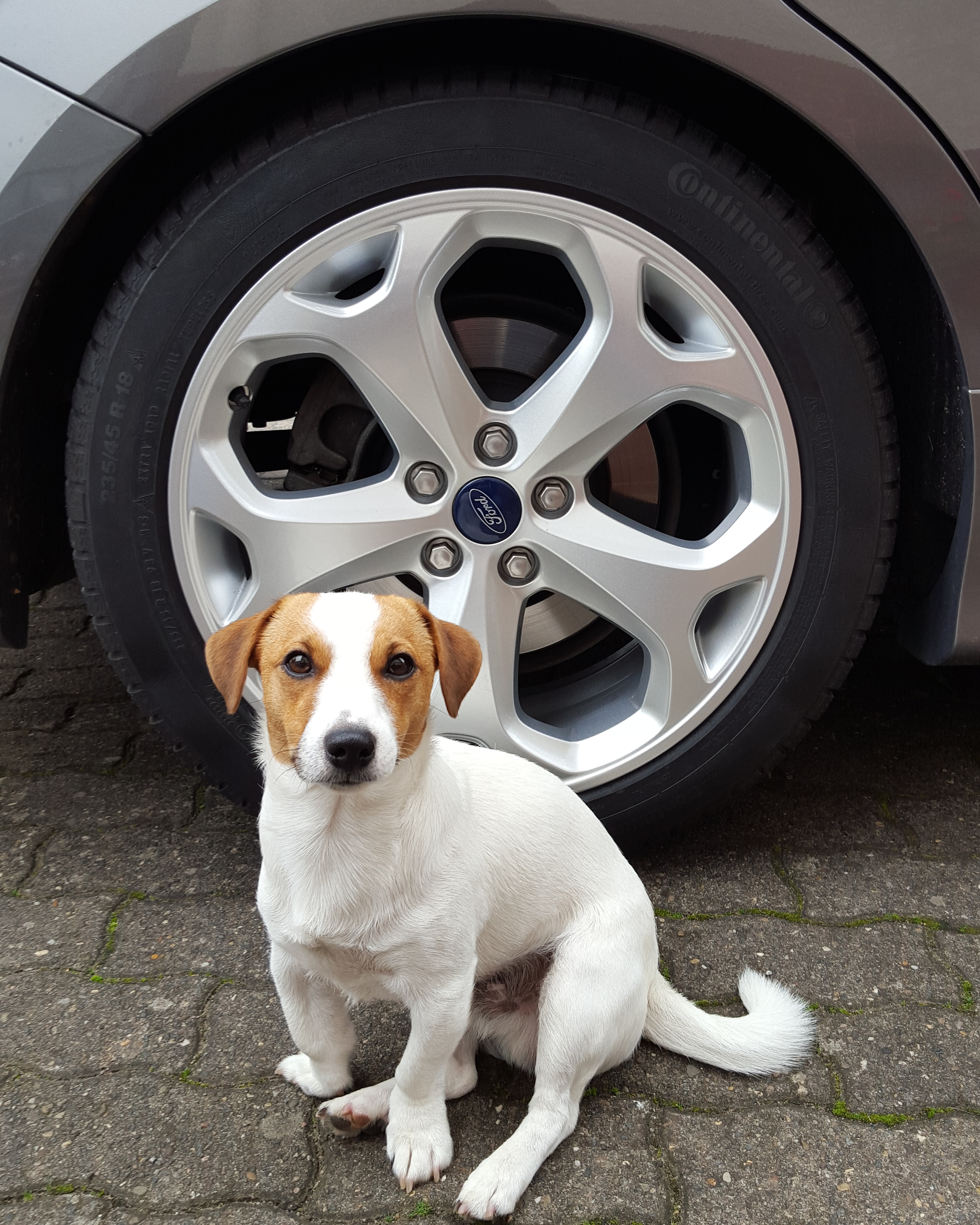 balu_010.jpg
