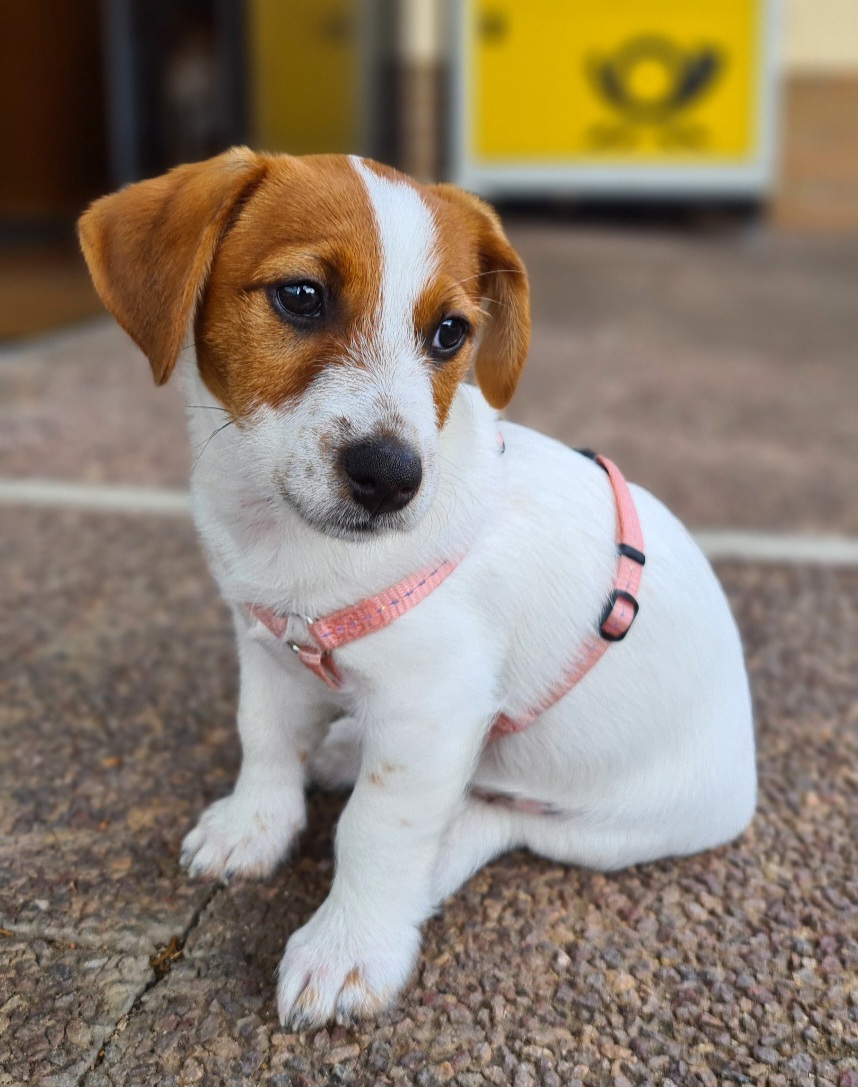 Ellie - 13.11.2023 - S20