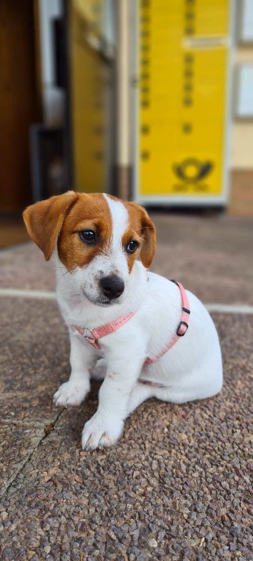 Ellie - 13.11.2023