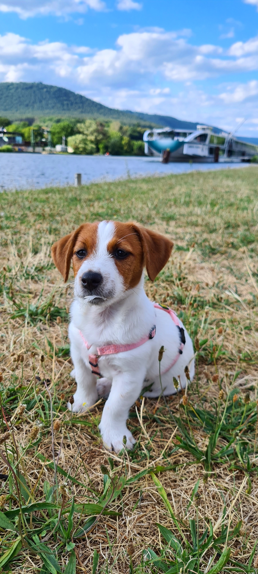 Ellie - 13.11.2023