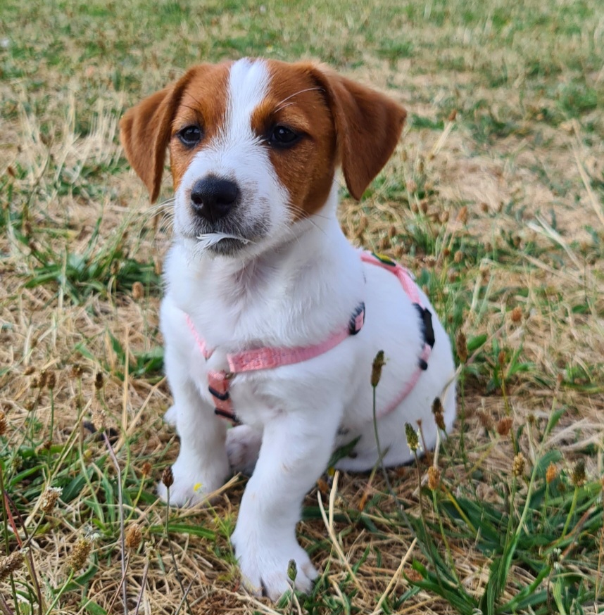 Ellie - 13.11.2023 - S20