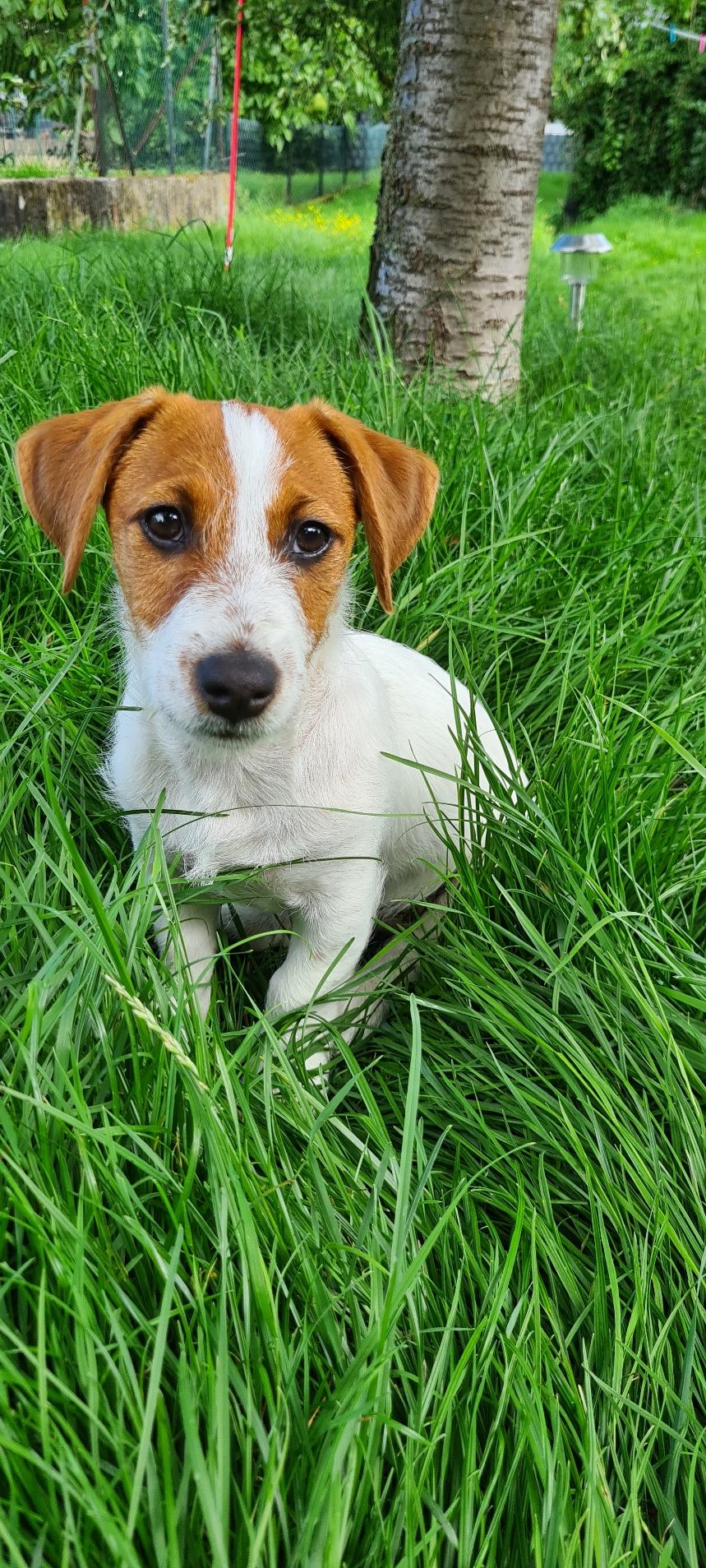 Ellie - 13.11.2023
